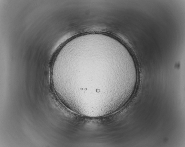 X0000115001219200911161529