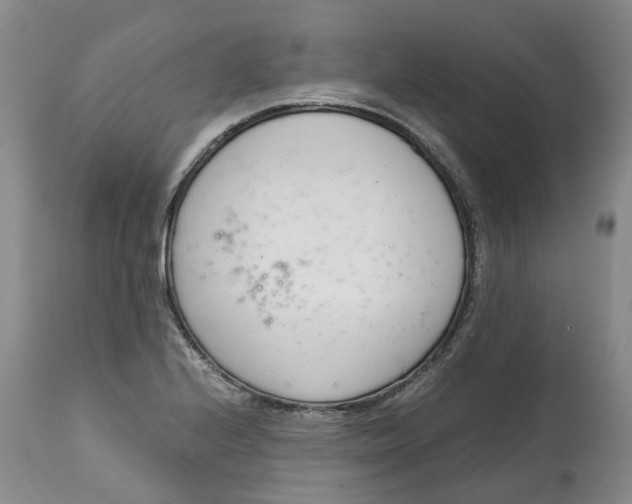 X0000115001224200911161529