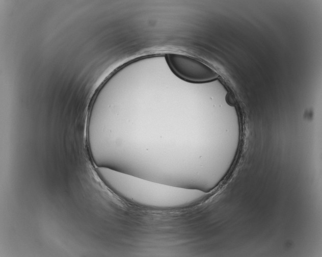 X0000115001228200911161529