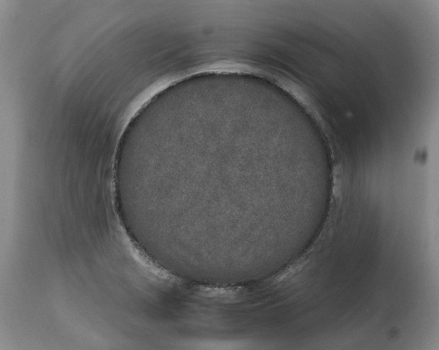 X0000115001229200911161529