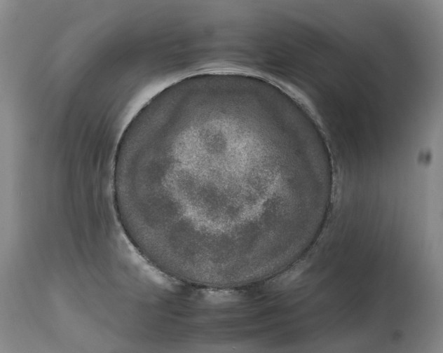 X0000115001231200911161529