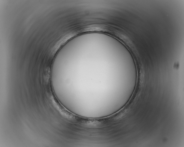 X0000115001233200911161529