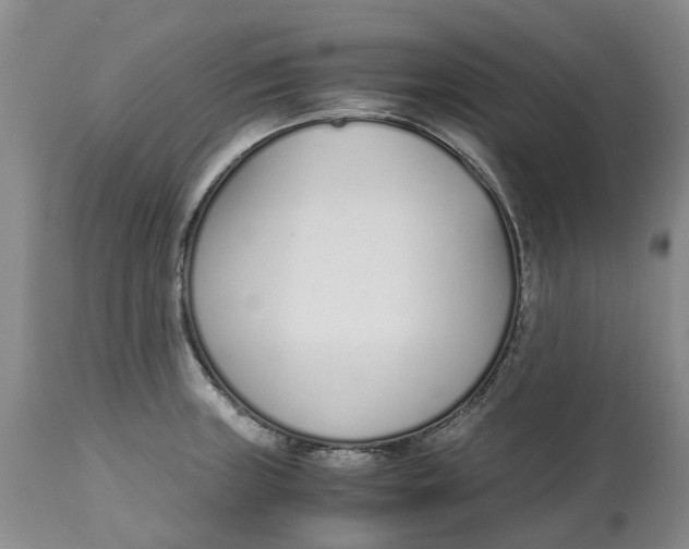 X0000115001235200911161529