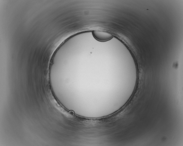 X0000115001236200911161529