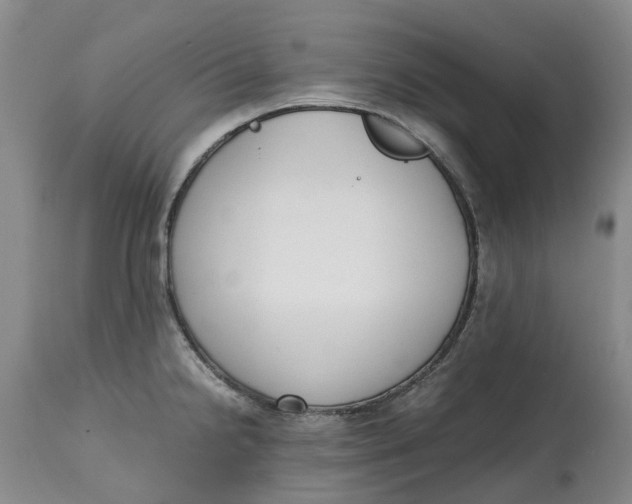 X0000115001238200911161529