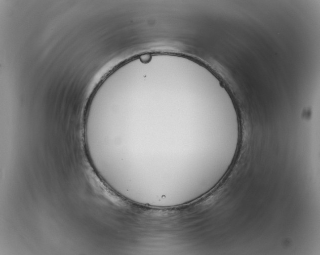 X0000115001240200911161529