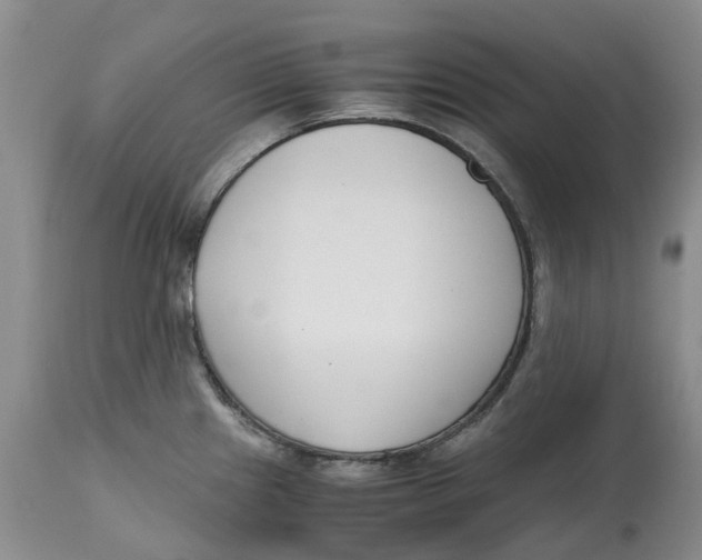 X0000115001241200911161529