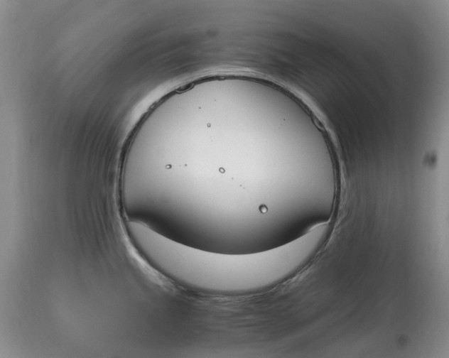 X0000115001245200911161529