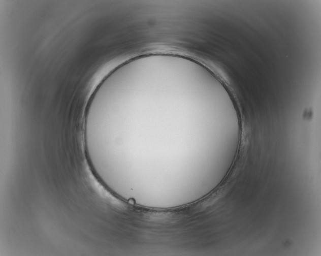 X0000115001247200911161529