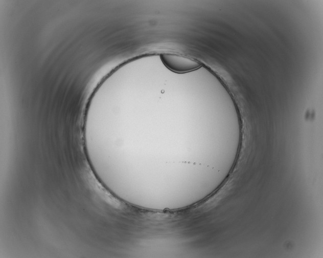 X0000115001248200911161529