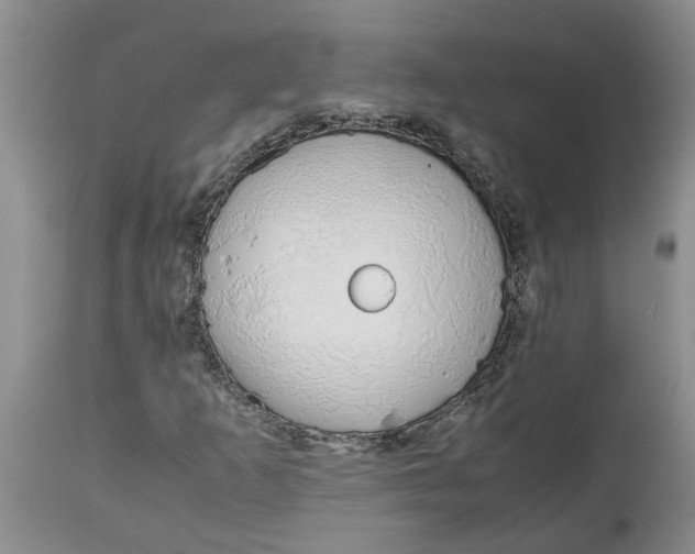 X0000115001253200911161529