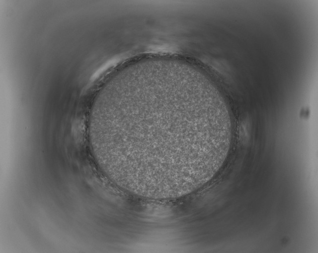 X0000115001254200911161529