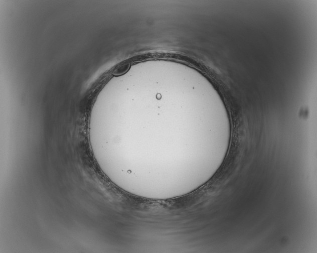 X0000115001255200911161529