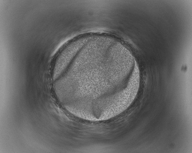 X0000115001256200911161529