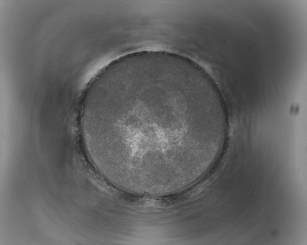 X0000115001263200911161529