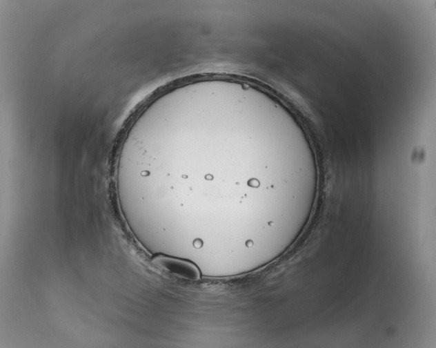 X0000115001264200911161528