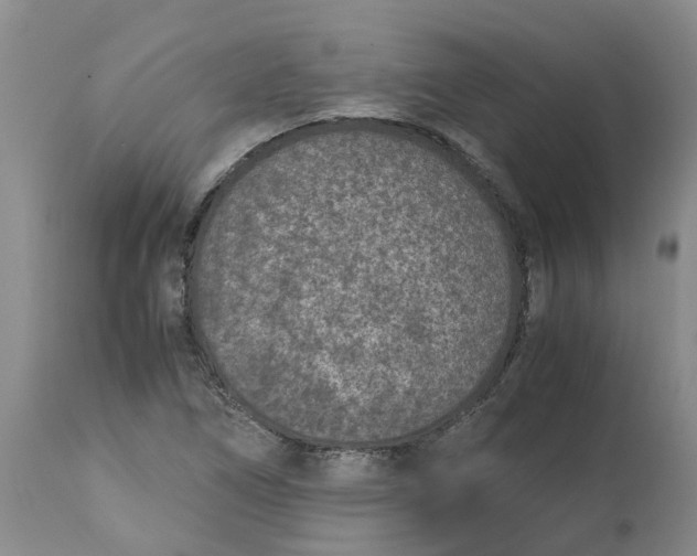 X0000115001266200911161528