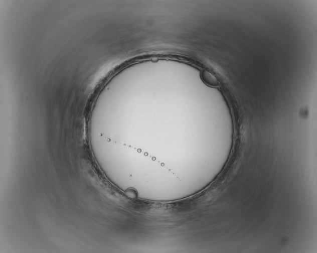 X0000115001267200911161528