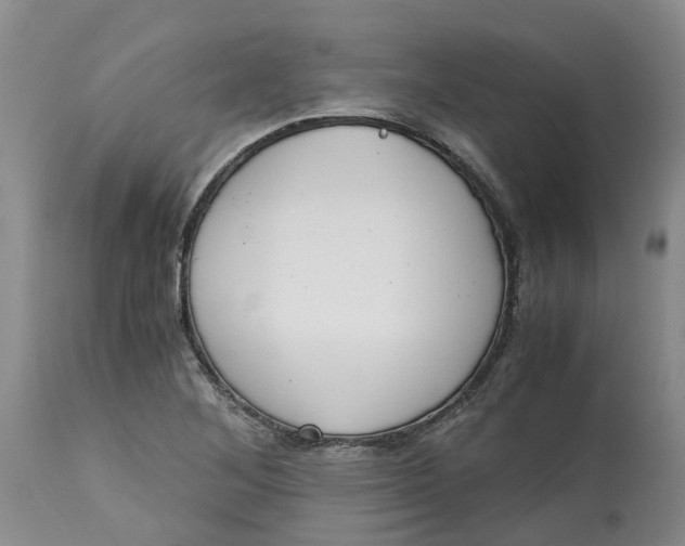 X0000115001268200911161528