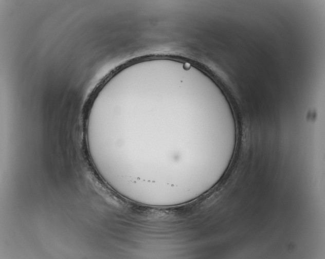 X0000115001270200911161528