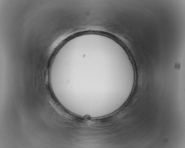 X0000115001271200911161528