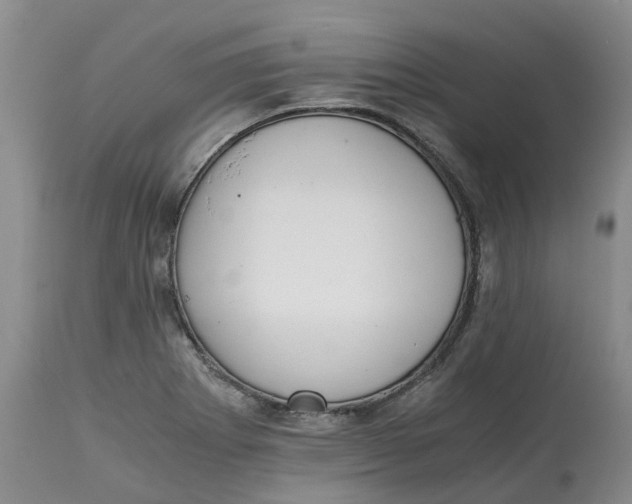 X0000115001273200911161528