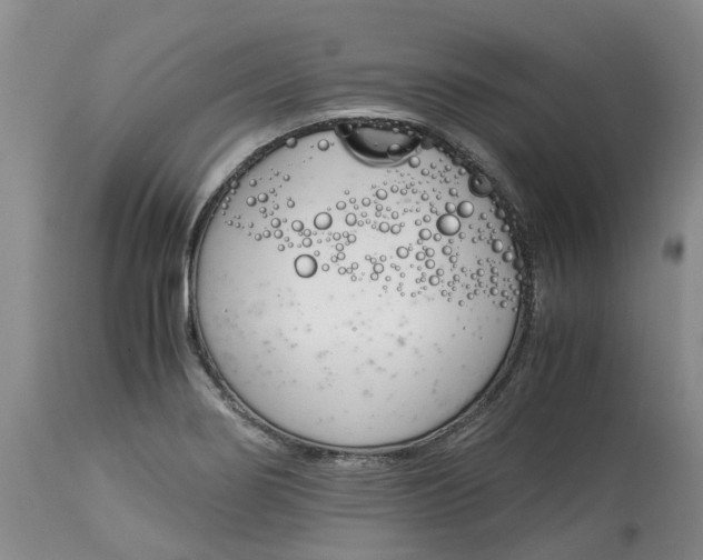 X0000115001274200911161528