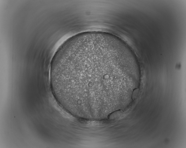 X0000115001275200911161528