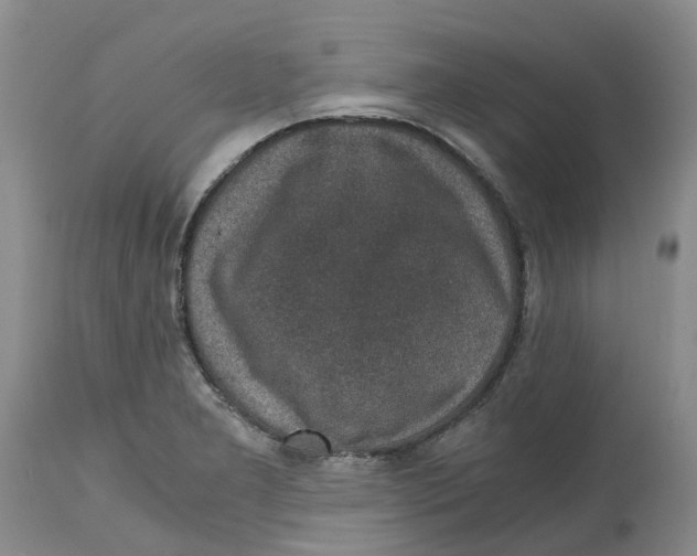 X0000115001277200911161528