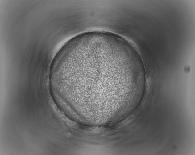 X0000115001279200911161528