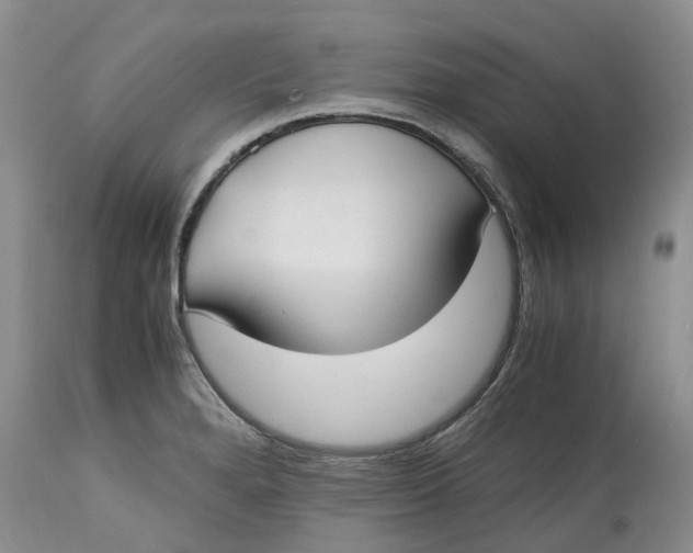 X0000115001280200911161528