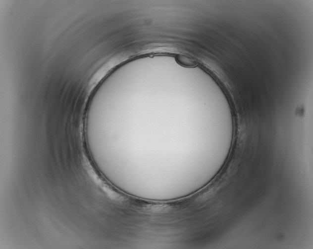 X0000115001282200911161528