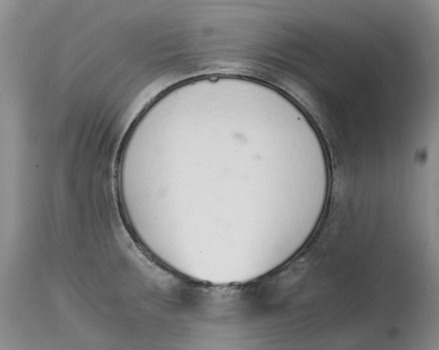 X0000115001283200911161528