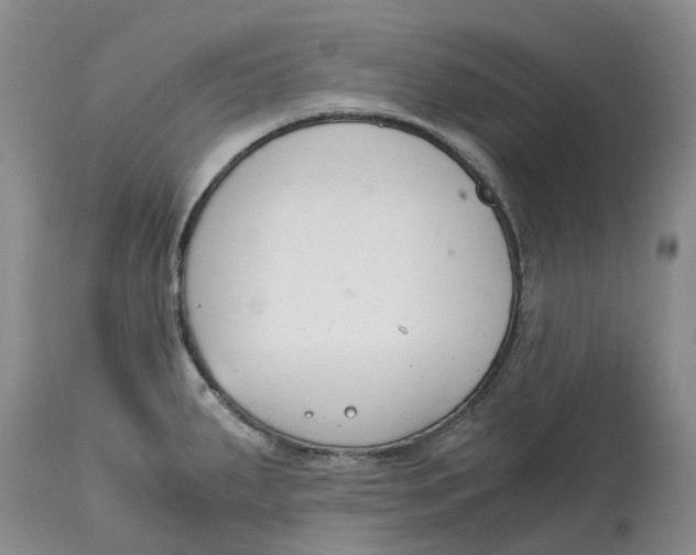 X0000115001287200911161528