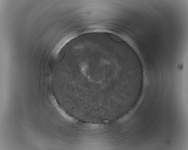 X0000115001289200911161528