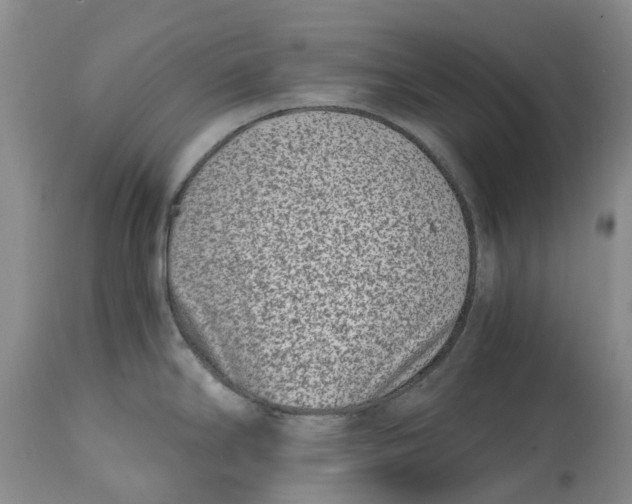 X0000115001294200911161528