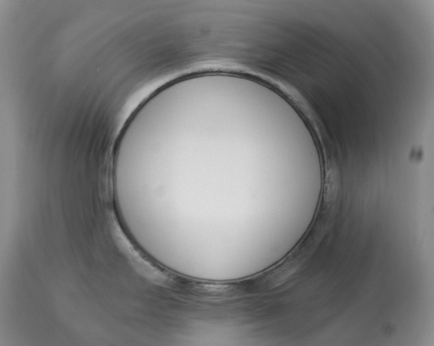 X0000115001295200911161528