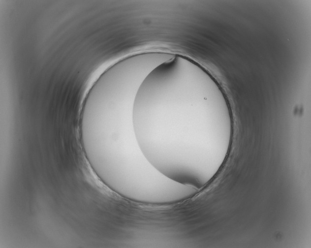 X0000115001296200911161528