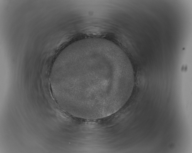 X0000115001297200911161527