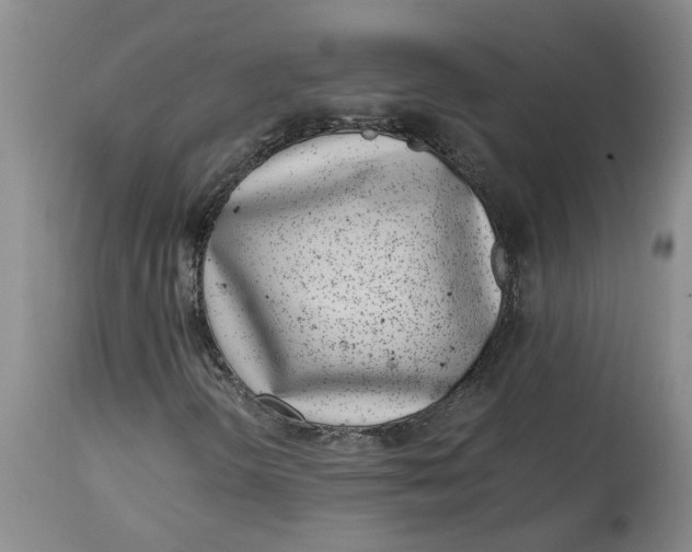 X0000115001298200911161527