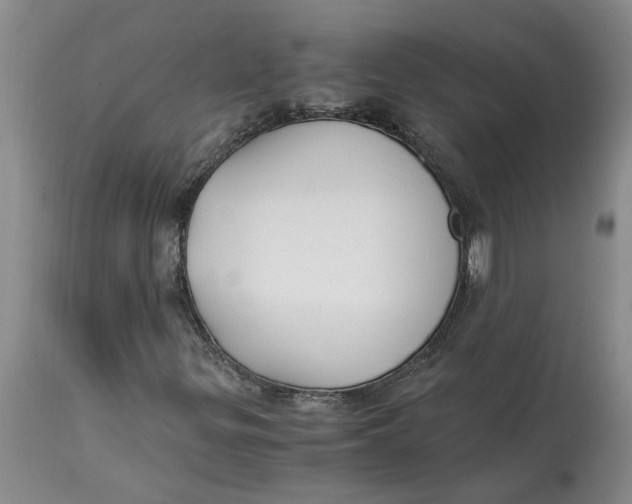 X0000115001299200911161527