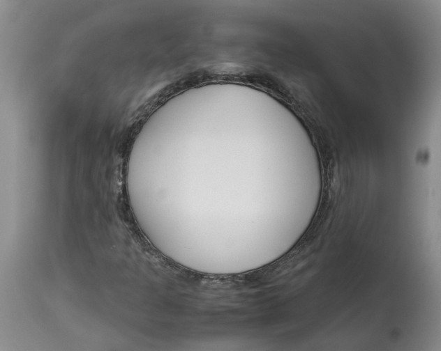 X0000115001301200911161527