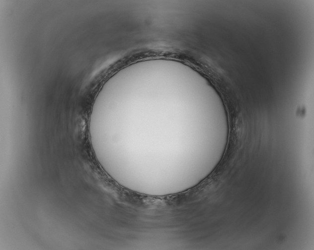 X0000115001302200911161527