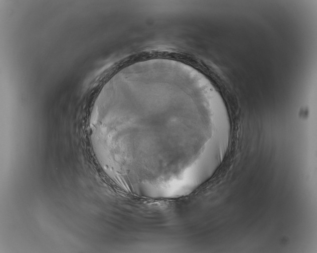 X0000115001303200911161527