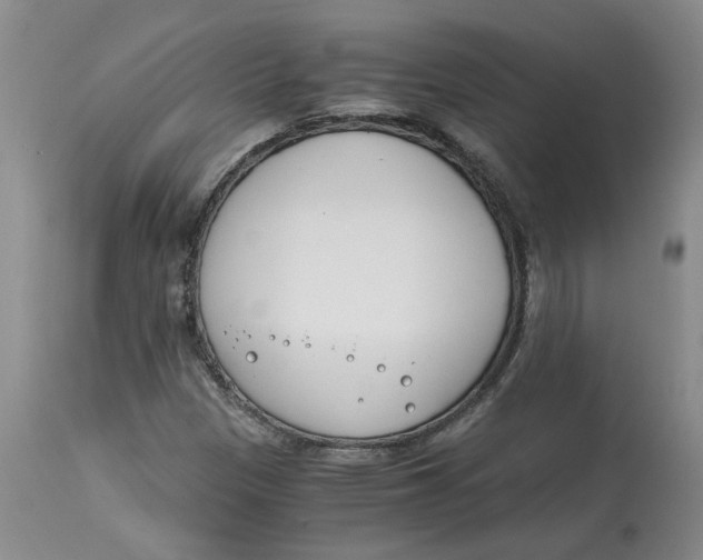 X0000115001305200911161527