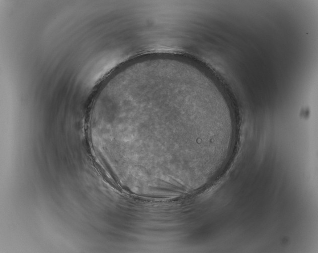 X0000115001306200911161527