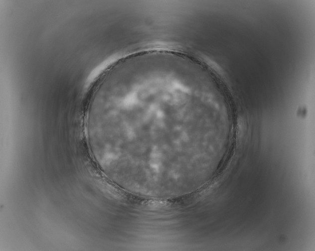 X0000115001310200911161527