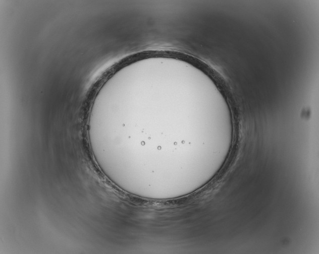 X0000115001311200911161527