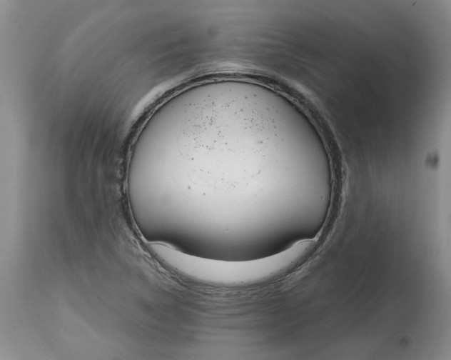 X0000115001314200911161527