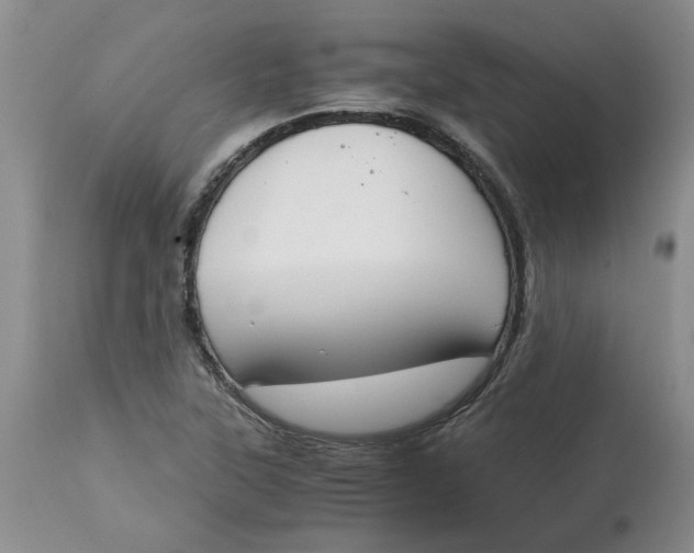 X0000115001315200911161527